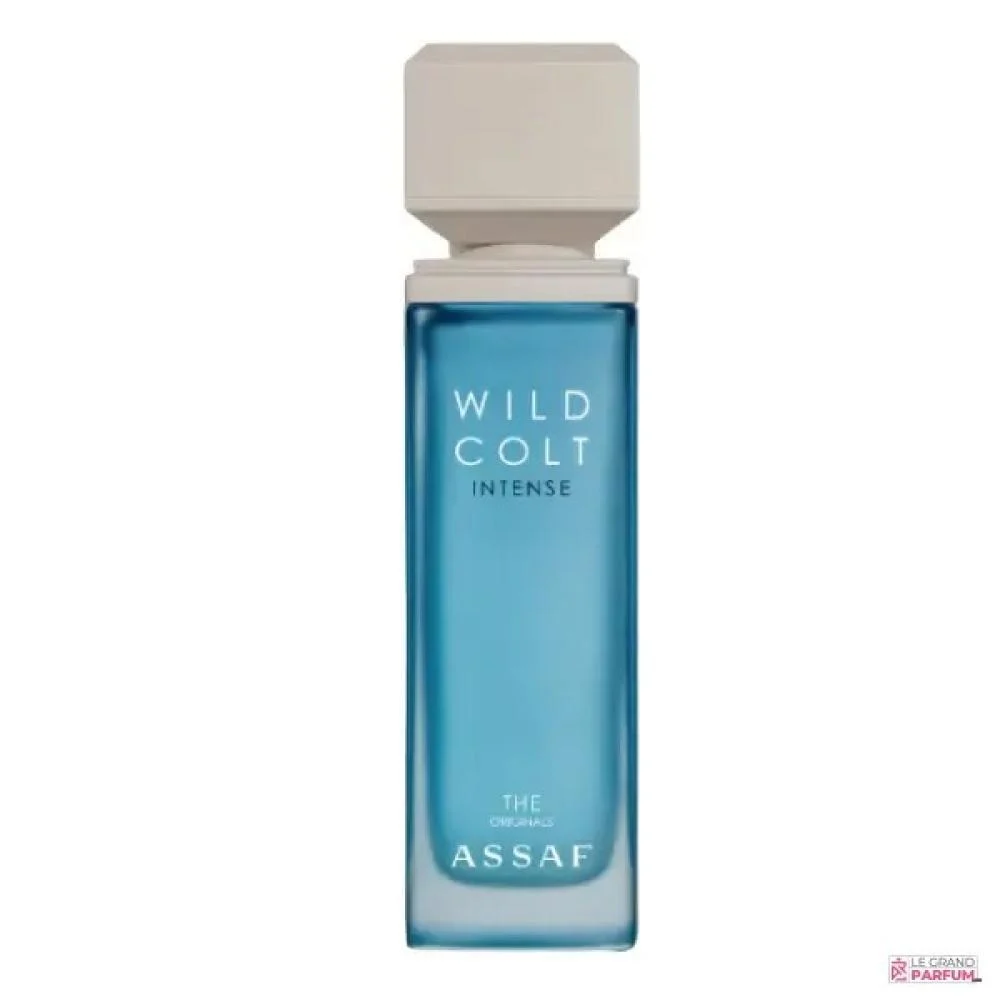 WILD COLT INTENES 100 ML - Unisex Perfume